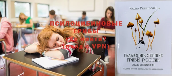 молекула духа Алзамай