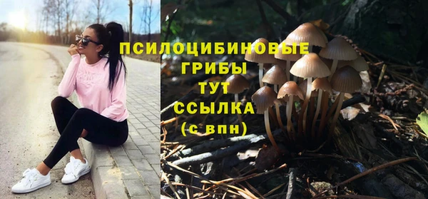 мяу мяу мука Абдулино