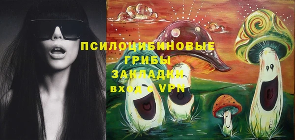ПСИЛОЦИБИНОВЫЕ ГРИБЫ Абинск
