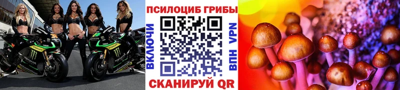 Псилоцибиновые грибы ЛСД  Мирный 